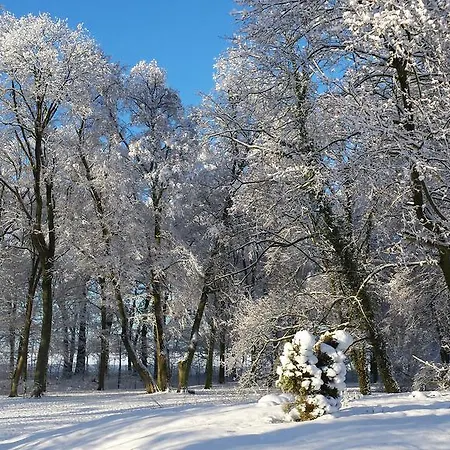 Zamek 住宿加早餐酒店 Rynkowka