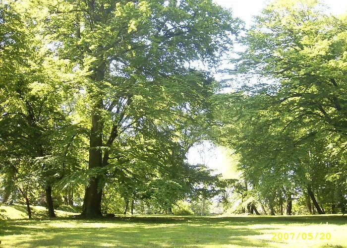 Bed & Breakfast Zamek 3*